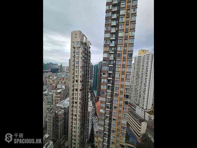 Cheung Sha Wan - The Paddington 11