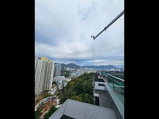 Cheung Sha Wan - The Paddington 17