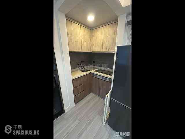 Sha Tin - Lucky Plaza Shung Lam Court (Block A1) 04