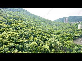 Stubbs Road - Woodland Heights 31
