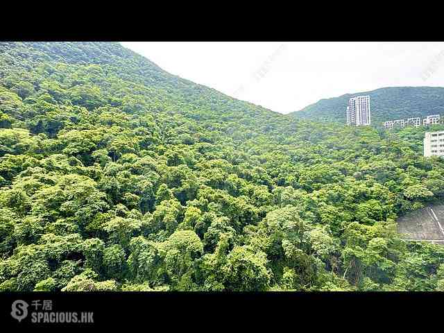 司徒拔道 - 怡园 31