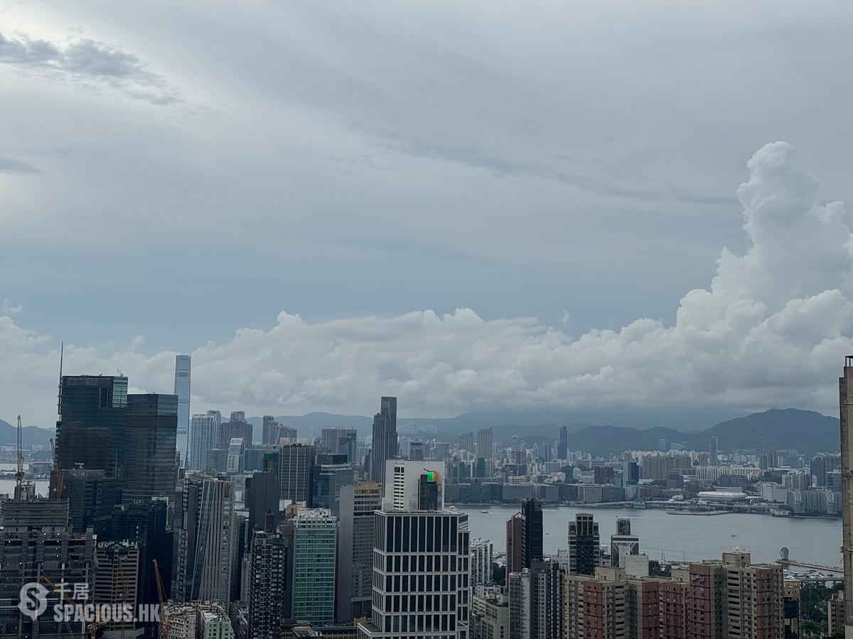 Tai Hang - Jardini 01