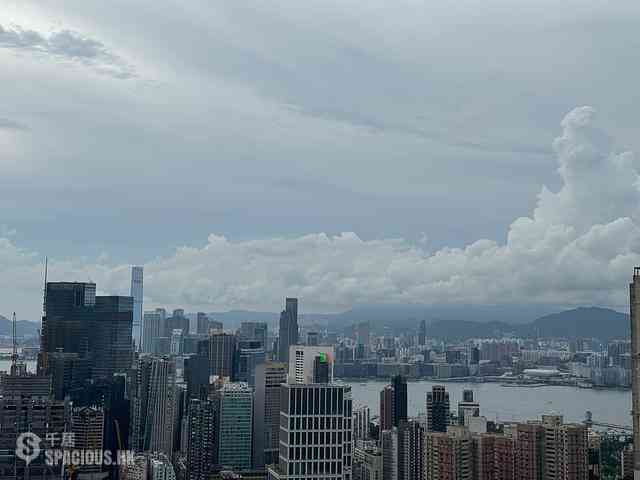 Tai Hang - Jardini 01