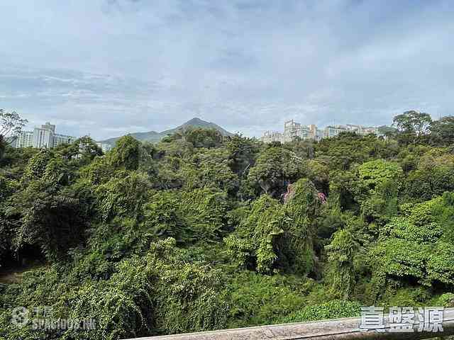 Tai Wai - The Great Hill Block 2 01