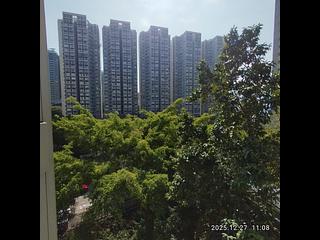 茶果嶺 - 麗港城 10