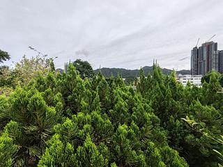 Tai Wai - The Great Hill 06