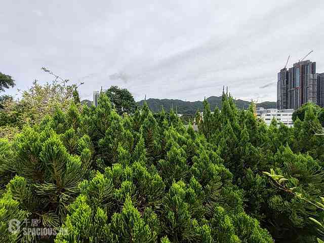 Tai Wai - The Great Hill 06