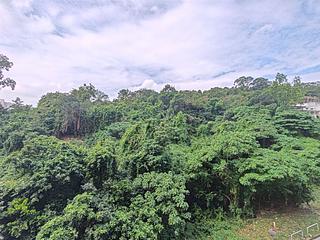 Tai Wai - The Great Hill 02