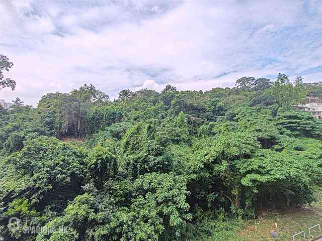 Tai Wai - The Great Hill 02