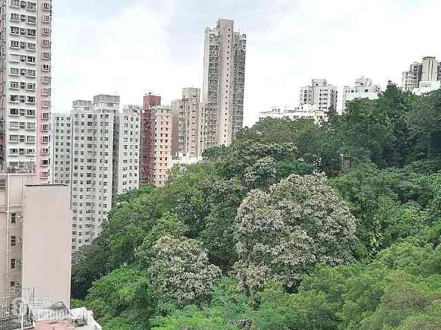 堅尼地城 - 翠荷苑 07