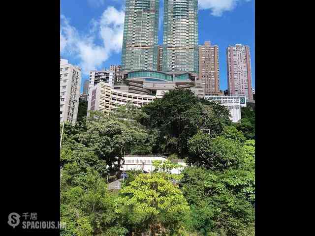 Fortress Hill - Sea Breeze Court 09