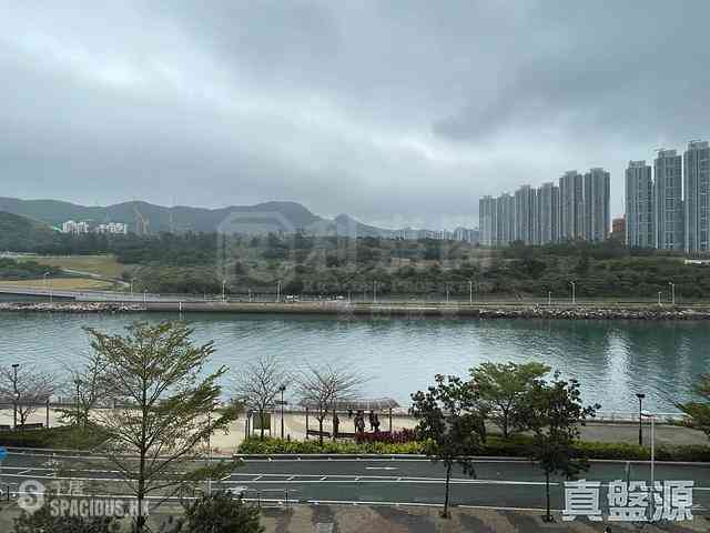 Tseung Kwan O - The Papillons 01