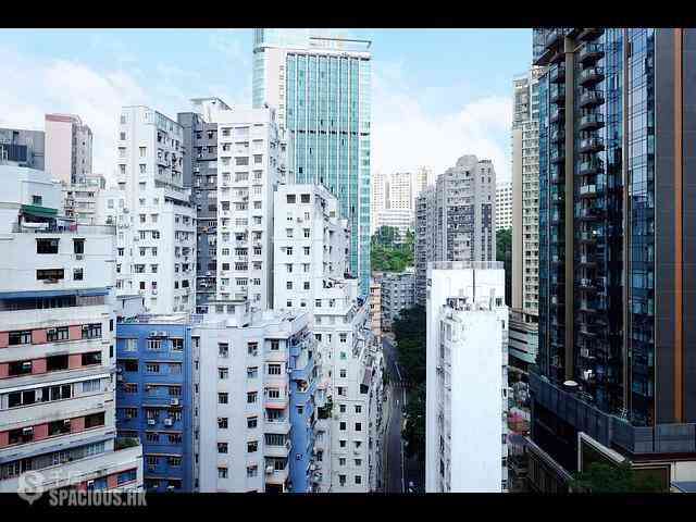 天后 - 聚龍閣 28