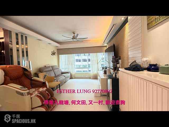 Ho Man Tin - Princess Terrace 01