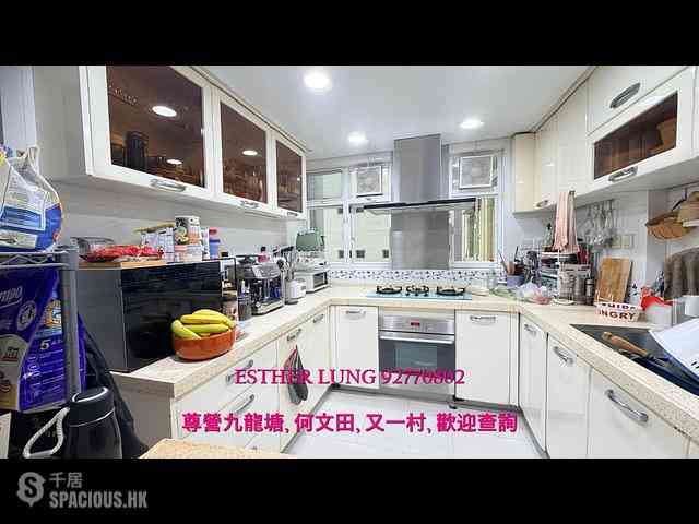 Ho Man Tin - Princess Terrace 04