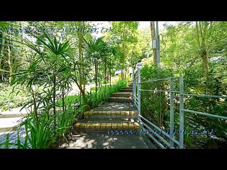 西貢 - 界咸村 26