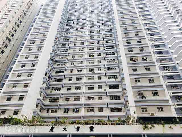 Shek Tong Tsui - Fung Yip Building 03