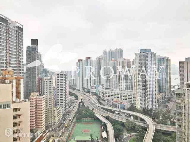 Shau Kei Wan - Lime Gala 02