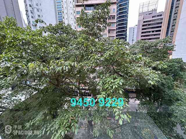 Central - 11, Gough Street 10