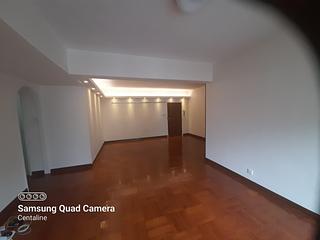 Sai Ying Pun - Rhine Court Block C 04
