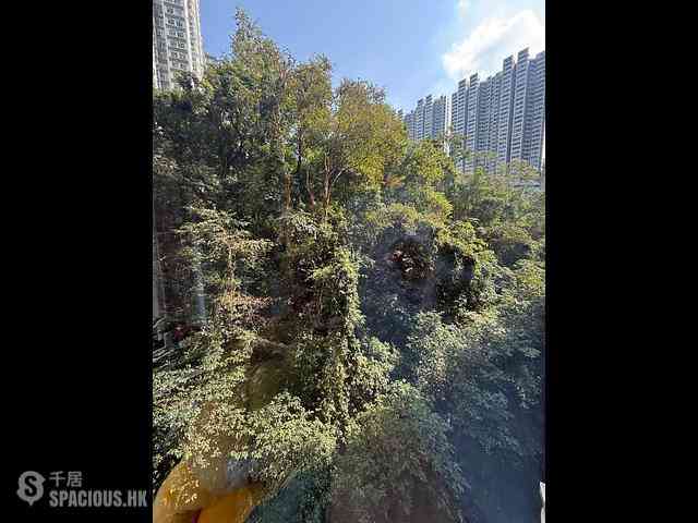 Quarry Bay - Mount Parker Lodge 01