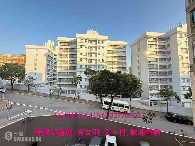 Beacon Hill - Comfort Court 02