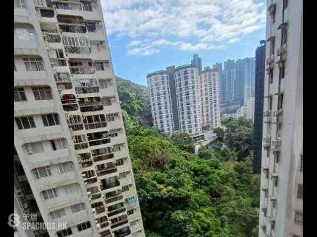 天后 - 龍心閣 01