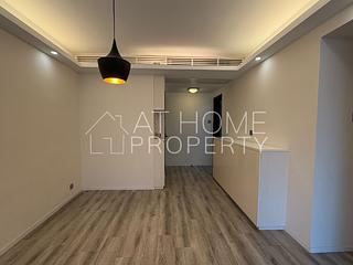 Mid Levels Central - Winsome Park 03
