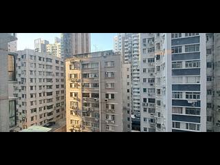 Happy Valley - Palm Court 03