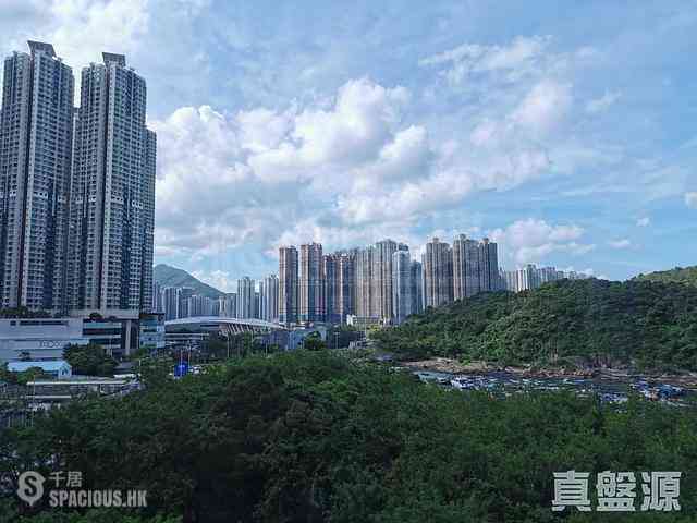 Tseung Kwan O - Savannah Block 1 01