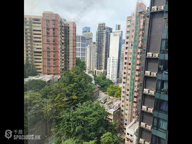 大坑 - 大坑道1號 03