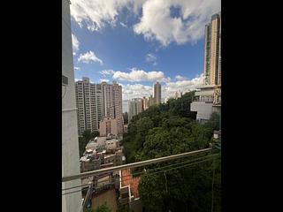 坚尼地城 - 桃李园 07