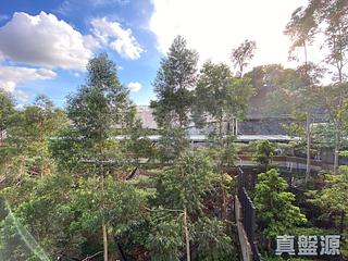 Ho Man Tin - Ultima Phase 2 06