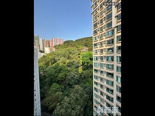 天后 - 龙景花园 03