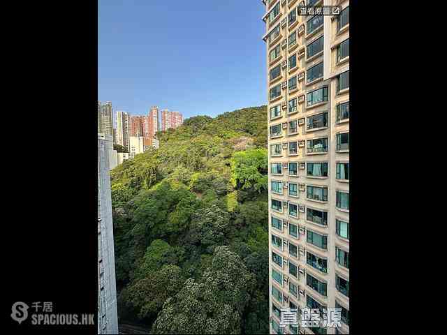 天后 - 龙景花园 03
