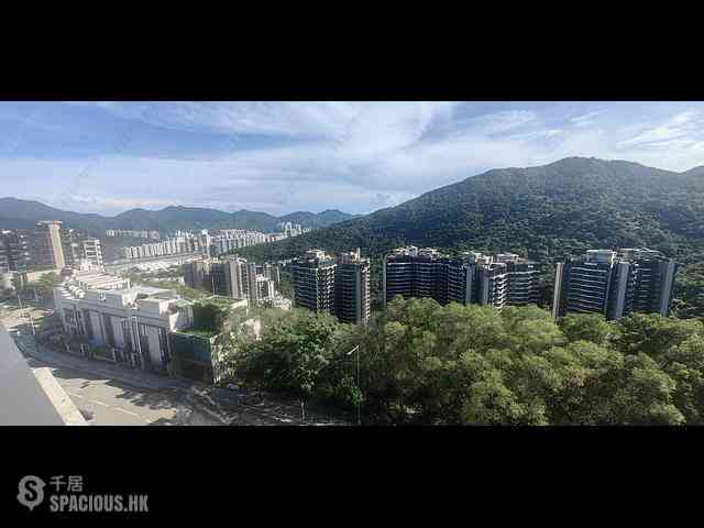 Sha Tin - St Moritz 01