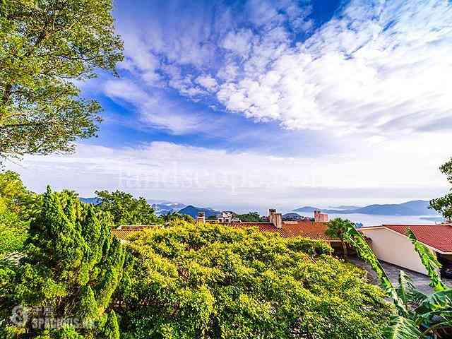The Peak - Strawberry Hill 02
