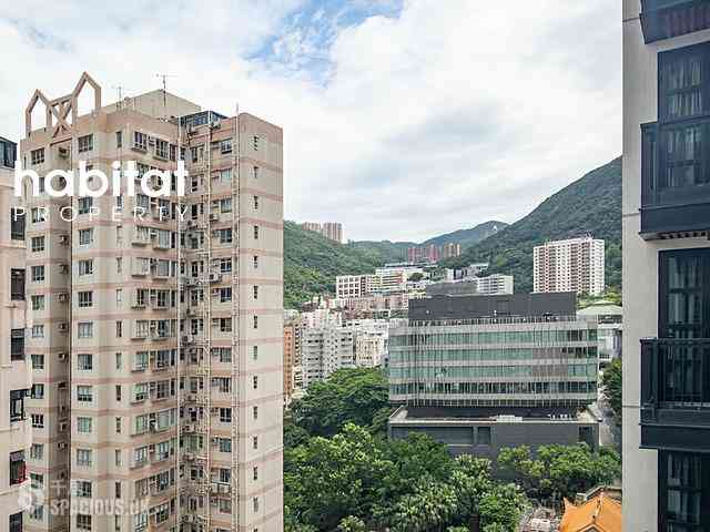 Happy Valley - The Aster (Resiglow) 12
