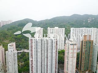 Tai Hang - Warrenwoods 02