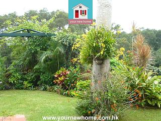 Sai Kung - Forest Hill Villa 21