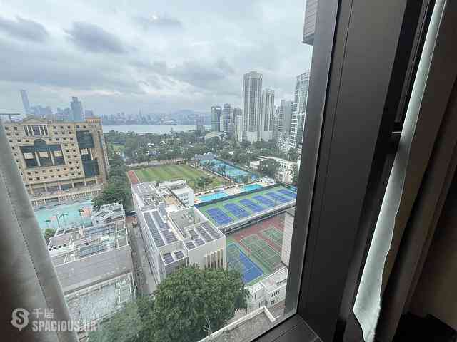 Tai Hang - Coho 07