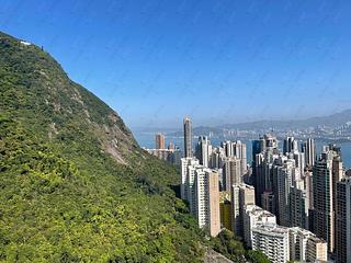 中半山 - 晓峰阁4座 09