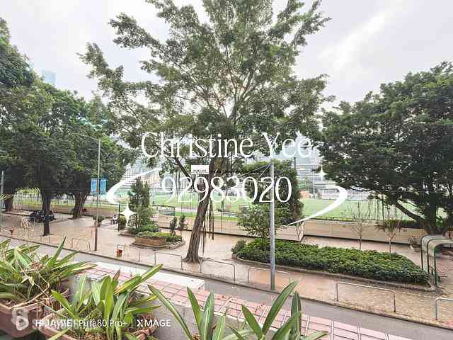 Happy Valley - Linden Court 04