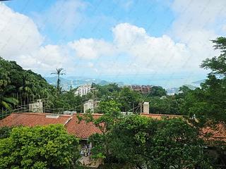 The Peak - Strawberry Hill 04