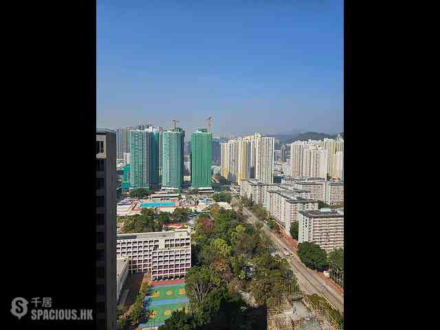 Cheung Sha Wan - Bondlane 05