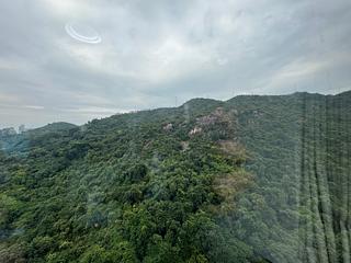 Tai Hang - Serenade Block 1 07