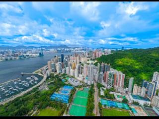 Tin Hau - Kabitat・Tin Hau 03