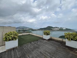 Chung Hom Kok - Scape 03
