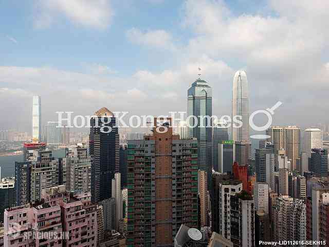 Chung Hom Kok - Scape 02