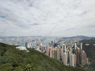 The Peak - Peak Gardens 05